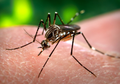 CDC extinde avertizările de călătorie: ce nu se spune despre virusul transmis de țânțari