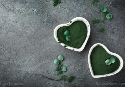 Chlorella: de ce Big Pharma evită să vorbească despre această algă