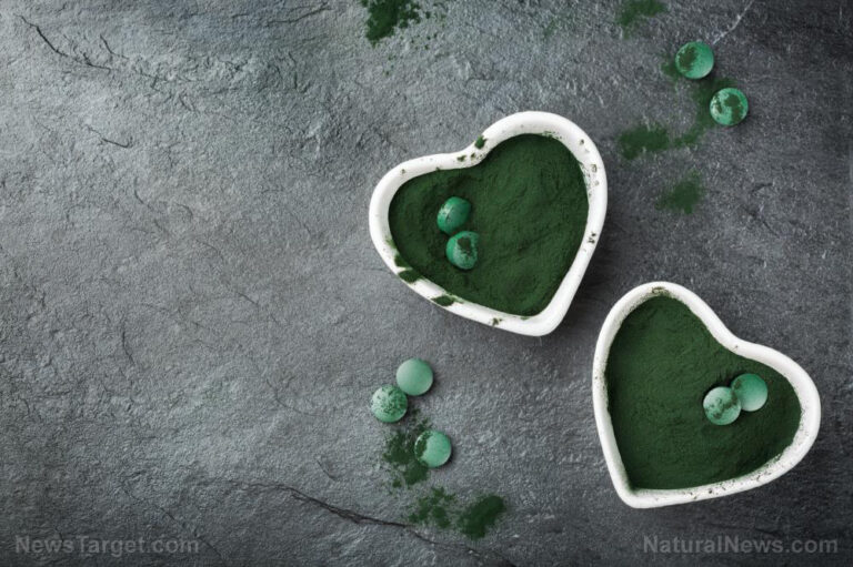 Chlorella: de ce Big Pharma evită să vorbească despre această algă