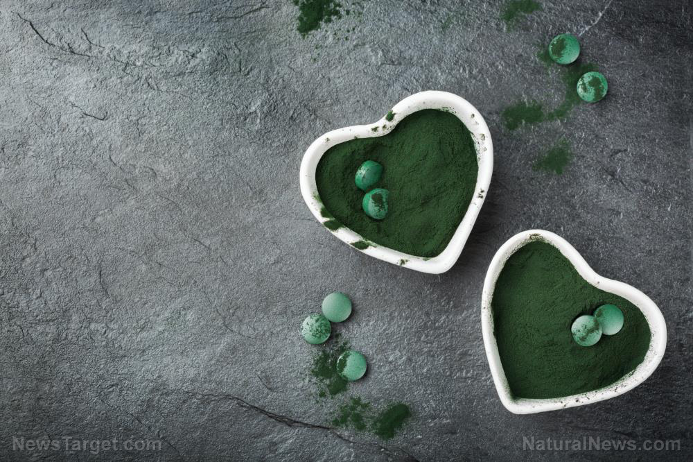 Chlorella: de ce Big Pharma evită să vorbească despre această algă