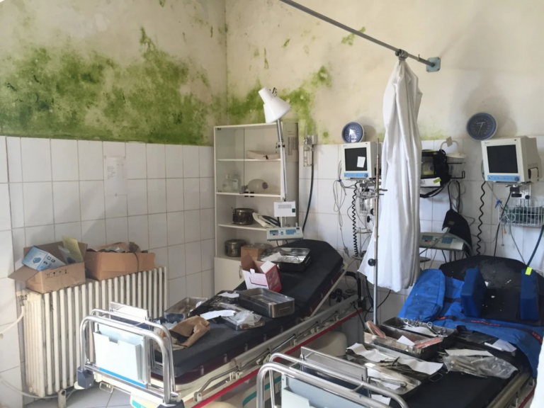 Estetica degradării: ce ascunde mucegaiul instituțional