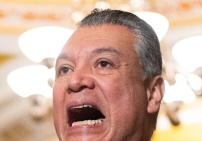Senator democrat: ICE va fi folosit pentru manipularea alegerilor
