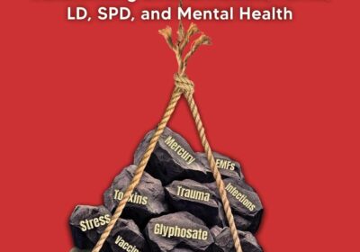 Teoria Sarcinii Totale: ce nu spun experții despre autism și ADHD
