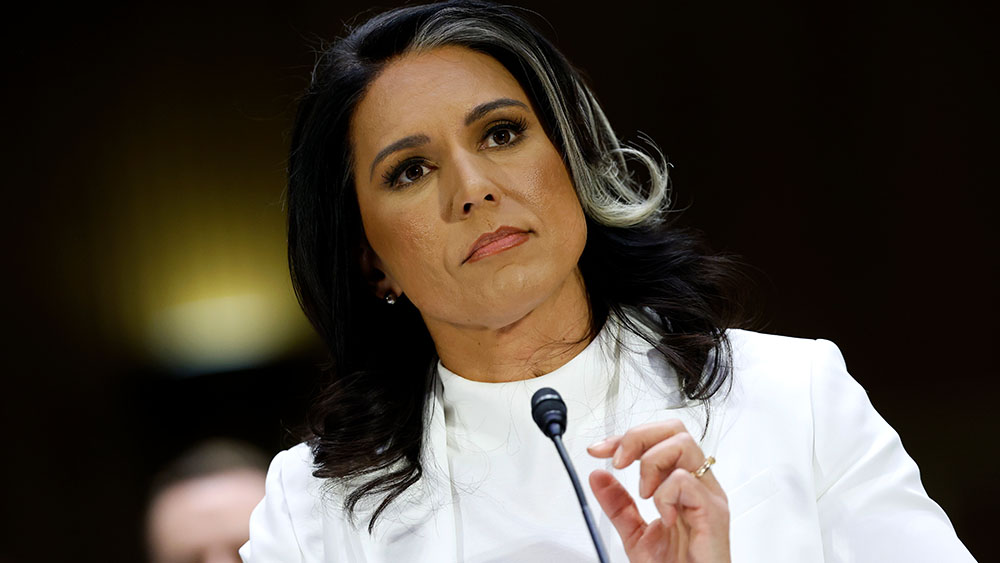 Gabbard deschide dosarele: ce ascunde impeachment-ul lui Trump