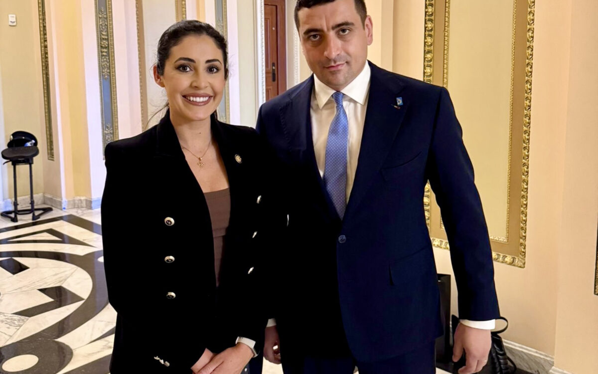 Simion la Washington: ce nu vi se spune despre misiunea AUR