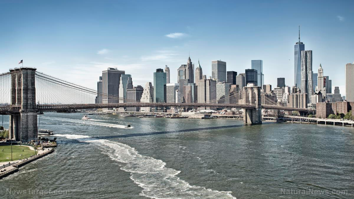 Arestări în masă la New York: ce ascund protestele anti-Israel