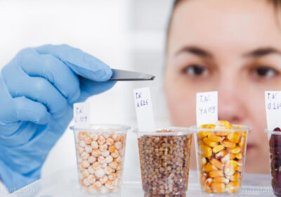 Ce nu vi se spune despre alimentele modificate genetic