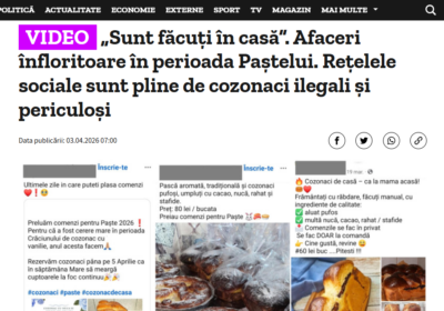 Cozonacii de casă, vizați de stat: ce ascunde campania anti-gospodine
