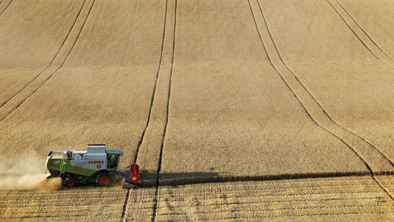 Criză în agricultură: de ce Guvernul Bolojan tace despre fermieri