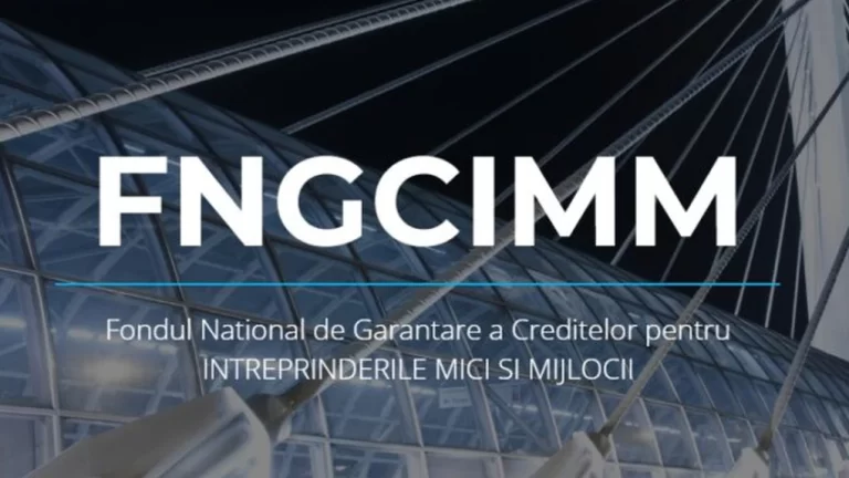 Refinanțarea IMM-urilor: cine controlează de fapt resetul financiar