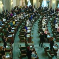 Legea „libertății de exprimare”
