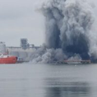 Articolul 5 NATO: ce nu vi se spune despre steagul fals