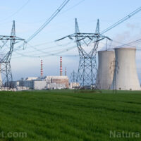 Cursa nucleară SUA-China: ce ascunde explozia AI în spatele reactoarelor