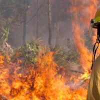 Incendiile din America: ce s-a întâmplat cu 10.000 de ani de cunoștințe?