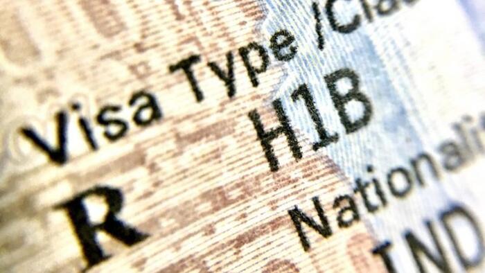Ancheta H-1B: protecție pentru americani sau război corporatist ascuns?