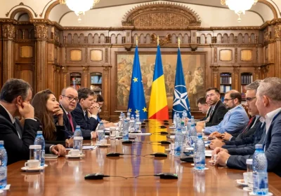 Demisia de la Cotroceni: ce ascunde raportul despre identitate