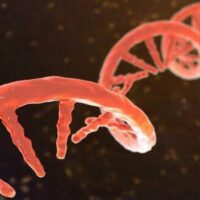 Fetiță moartă în experiment genetic chinez: ce se ascunde?