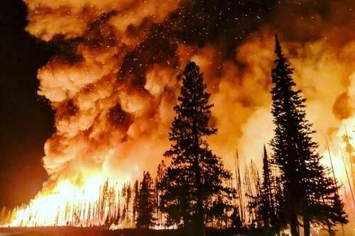 Fumul din văzduh: ce ascund rapoartele despre incendii globale
