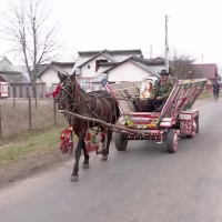 Zmeura de Aur economică: de ce România conduce detașat în UE