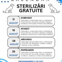 De ce nu poți merge direct la campaniile gratuite de sterilizare din Ilfov