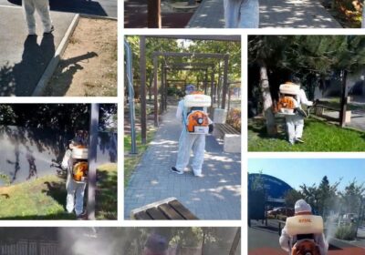 De ce se repetă tratamentele împotriva țânțarilor și căpușelor în parcurile din Voluntari