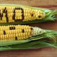 Cerealele ucrainene: ce ascunde tranzitul prin România?