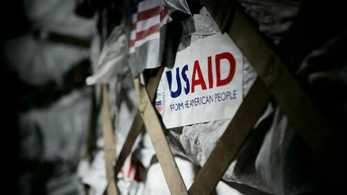 Fraudă la USAID: probațiune în loc de pușcărie, cine plătește?