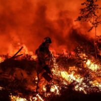Incendiile din Europa: ce nu spun rapoartele oficiale despre cauze