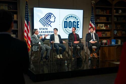Modelul Florida DOGE: eficiență reală sau vitrină politică?