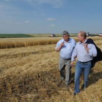 Recordul cerealier al Rusiei: cifre oficiale, întrebări neoficiale