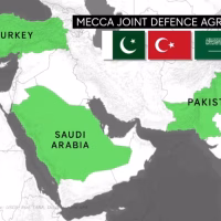 Riad-Islamabad-Ankara: cui îi convine distanțarea de Washington?