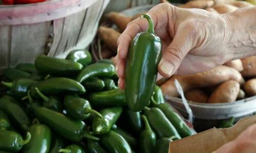 Salmonella la Chipotle: o fermă din Sinaloa, 345 bolnavi, cine plătește?