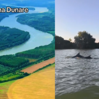 Seceta Dunării: ce arată filmările pe care oficialii le ignoră