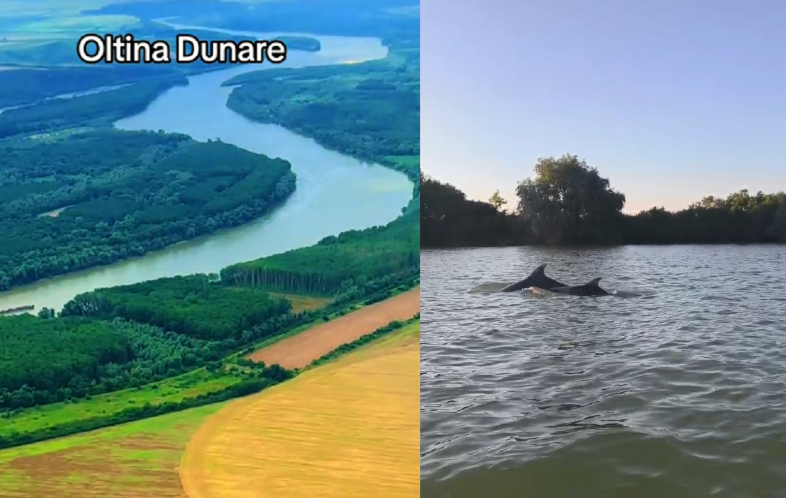 Seceta Dunării: ce arată filmările pe care oficialii le ignoră