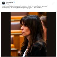 Vânătoarea de oligarhi din Ungaria: cine controlează de fapt dosarele?