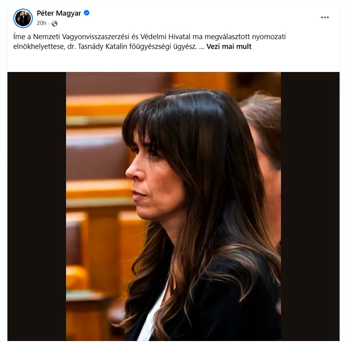 Vânătoarea de oligarhi din Ungaria: cine controlează de fapt dosarele?