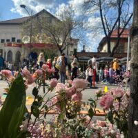 De la Brâncuși la sculptura participativă. Cum transformă Galeria Beller strada într-un spațiu cultural