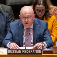 Ambasadorul rus batjocorește eșecul Germaniei la ONU: ce ascunde?