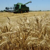 CBAM și agricultura română: cine plătește nota reală?