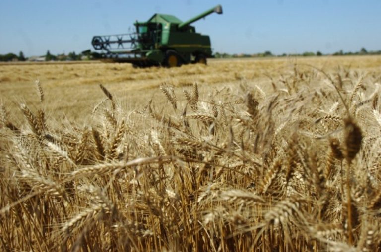 CBAM și agricultura română: cine plătește nota reală?