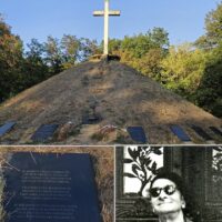 Cine cere ștergerea versurilor lui Radu Gyr și de ce acum
