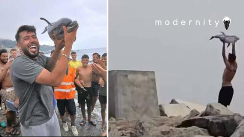 Delfinul din Ceuta: fapt divers sau armă de propagandă?