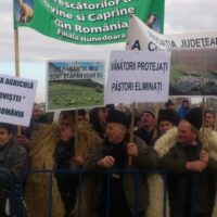 Protestul oierilor: cine a orchestrat coaliția civică de azi?