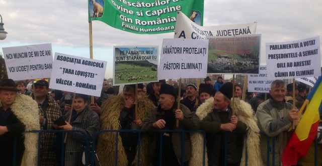 Protestul oierilor: cine a orchestrat coaliția civică de azi?