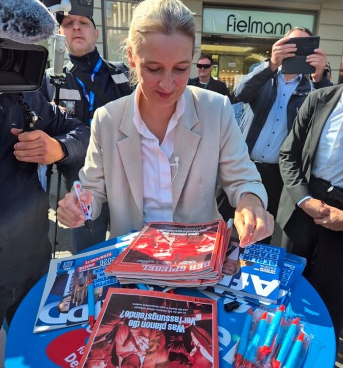 Sondaj Germania: AfD 30%, CDU 20% – ce nu se spune