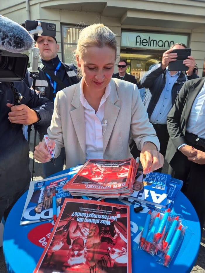 Sondaj Germania: AfD 30%, CDU 20% – ce nu se spune